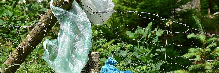 ¿Qué tipo de residuos se abandonan en el campo?