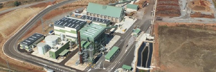 Sener construirá la nueva planta de biomasa de Ence en Huelva