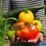 Cómo reducir los residuos mediante un reparto de excedentes alimentarios más eficiente