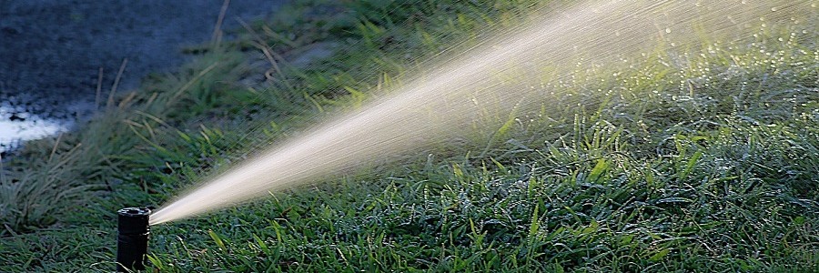 Arona utilizará agua depurada en el baldeo de calles y el riego de jardines