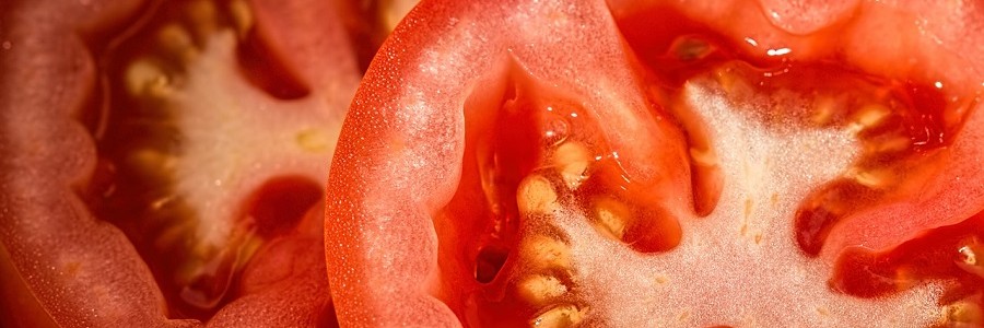 Bioplástico a partir de residuos de tomate para recubrir el interior de latas de conservas