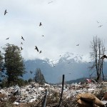 Analizan el impacto de los vertederos en los ecosistemas