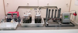 Una investigación propone aprovechar el gas amoniaco como fertilizante nitrogenado