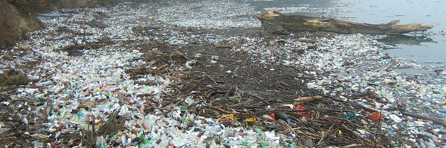Propuestas de las organizaciones ecologistas contra la contaminación por plásticos