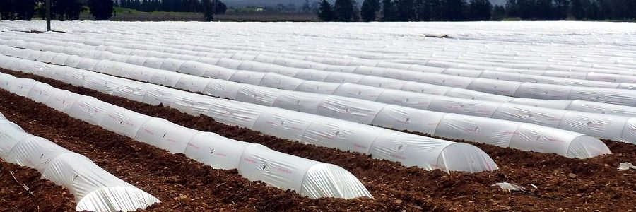 Andalucía pondrá en marcha un sistema de responsabilidad ampliada del productor de plásticos agrícolas