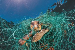 National Geographic, contra el uso abusivo del plástico