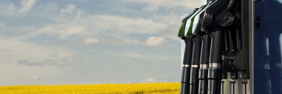 Publicado el Real Decreto que regula el Sistema Nacional de Verificación de la Sostenibilidad de biocarburantes y biolíquidos