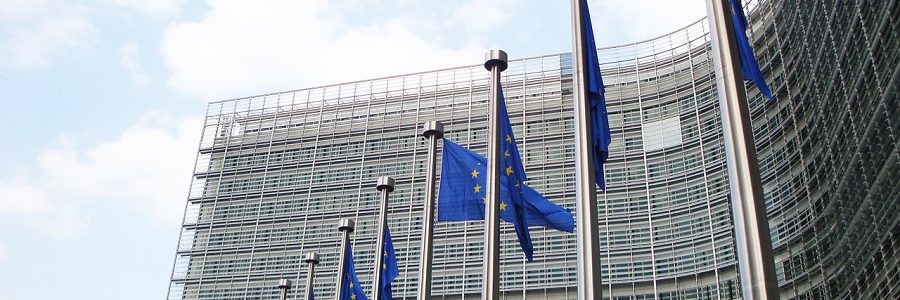 Consulta pública sobre la evaluación del VII Programa de Acción en materia de Medio Ambiente de la UE