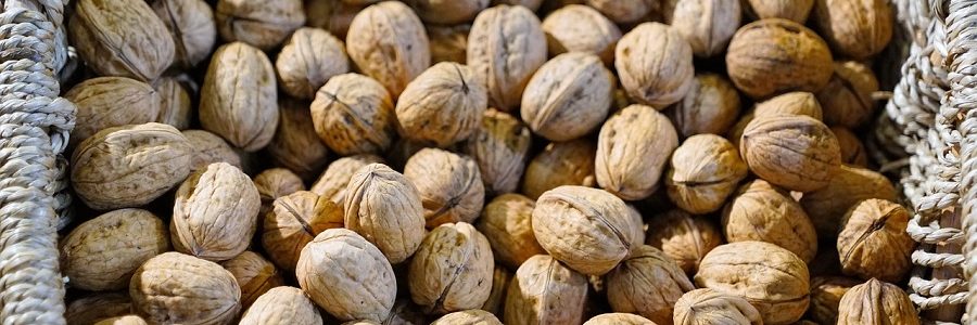 El proyecto ‘Lurrekolore’ aprovechará las cáscaras de nueces para obtener tintes naturales para la industria textil