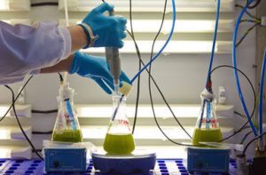 Tecnalia investiga el aprovechamiento de residuos generados en la producción de biodiésel a partir de microalgas