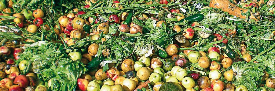 Gipuzkoa desperdicia 123.000 toneladas de alimentos al año
