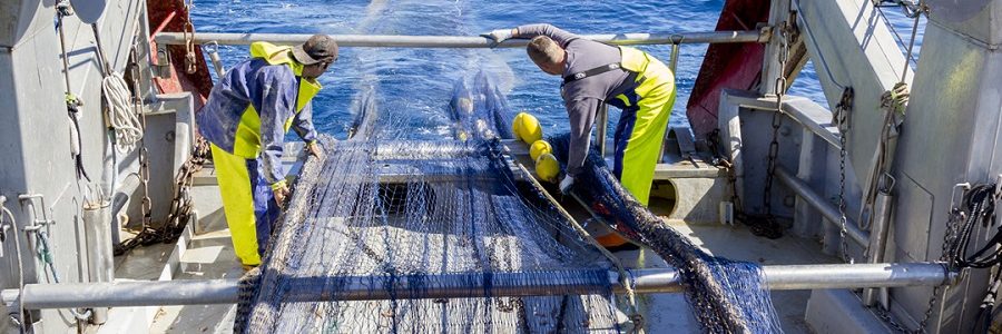 El proyecto RepescaPlas recupera más de 800 kg de residuos marinos, la mayoría plásticos