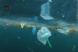 Los plásticos contaminan mares y océanos