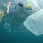 El Parlamento Europeo respalda la prohibición de los plásticos de un solo uso