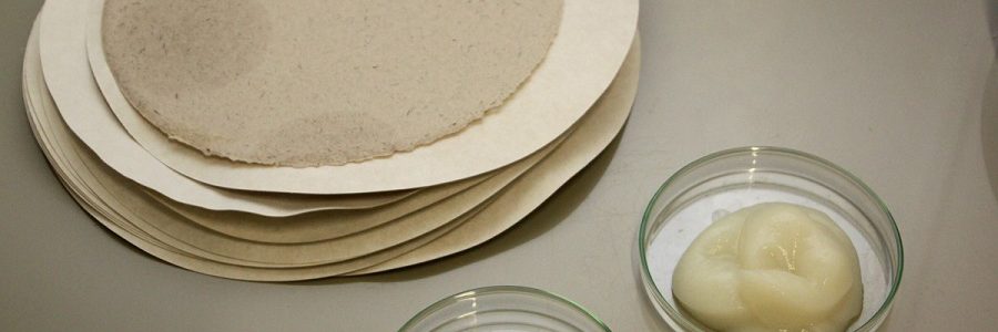 El proyecto SINSOST investiga nuevos materiales biodegradables para envases