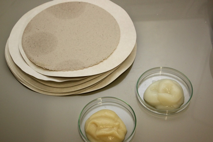 SINSOST: nuevos materiales biodegradables para envases