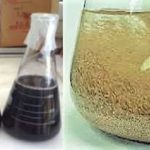 Investigadores de la ULE comparan sistemas de adsorcion de fármacos en aguas residuales