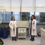 Investigadores de la Universidad de Jaén diseñan materiales inteligentes para la construcción con residuos industriales