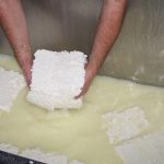 Investigadores argentinos obtienen biocombustible con residuos de producción de queso