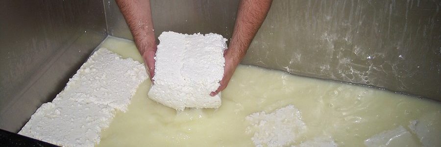 Investigadores argentinos obtienen biocombustible con residuos de producción de queso
