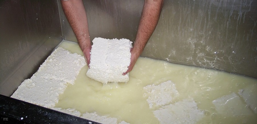 El proceso de producción de queso genera grandes cantidades de lactosuero