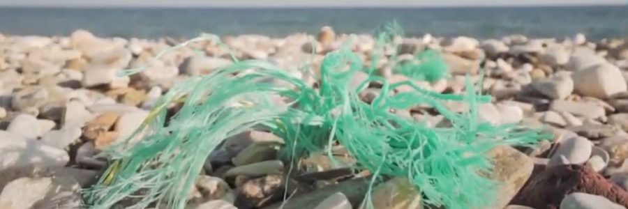 Investigadores de la Universidad de Alicante estudian la degradabilidad de los bioplásticos en el medio ambiente