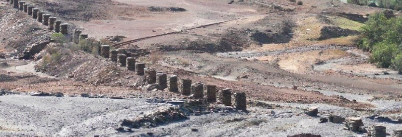 Proponen cenizas de biomasa y residuos de remolacha para recuperar suelos contaminados mineros