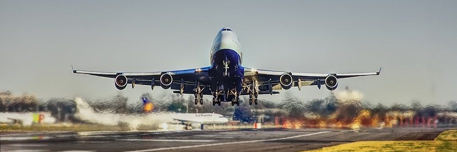 Nuevo combustible para aviones a partir de residuos vegetales