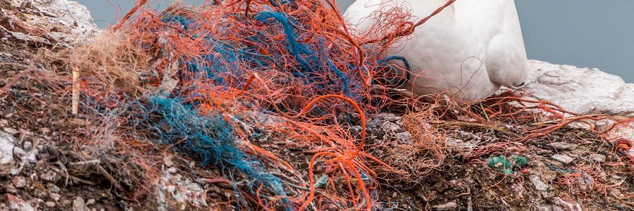 Sevilla acogerá un foro internacional sobre basuras marinas y economía circular
