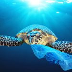 El Parlamento Europeo aprueba prohibir los plásticos de un solo uso en 2021