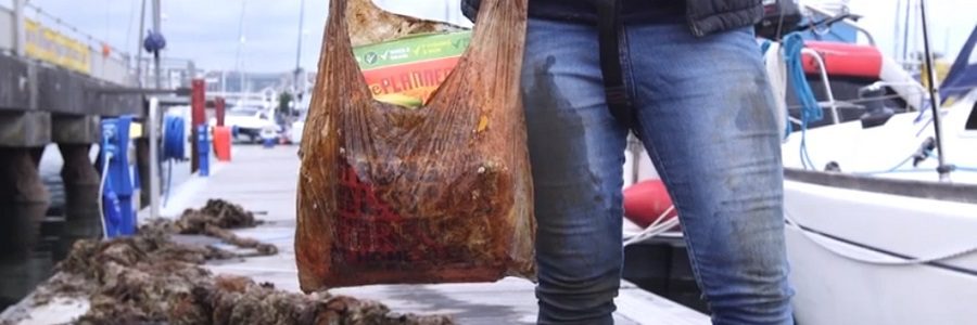 ¿Cuánto duran en el medio ambiente las bolsas biodegradables?