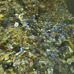 Aragón genera 620.000 toneladas de residuos municipales, de los que el 75% termina en el vertedero