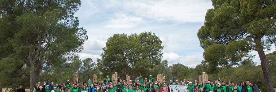 Trabajadores del sector de los plásticos recogen residuos en un parque natural de Valencia