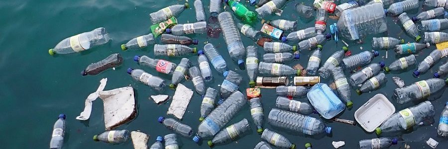 Avanza la coordinación internacional entre estados a fin de combatir la masiva presencia de residuos plásticos en los mares y océanos