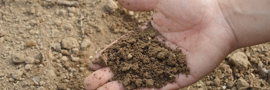 La UE quiere fomentar el uso de fertilizantes obtenidos a partir de residuos