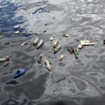 El G20 también abordará el problema de la basura marina