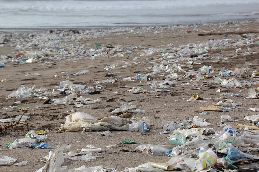 Queja Menos moco Un estudio alerta del grave impacto ambiental de la industria del plástico