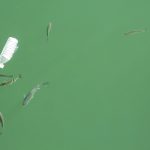 Sogama edita una publicación para concienciar sobre la problemática de las basuras marinas