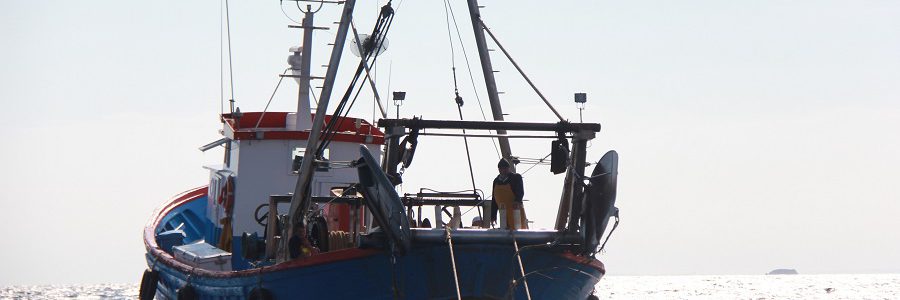 Más de 1.300 pescadores gallegos colaboran para reciclar la basura marina