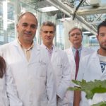 Investigadores de la Universidad de Navarra desarrollan una tecnología para fabricar nuevos fertilizantes a partir de residuos orgánicos