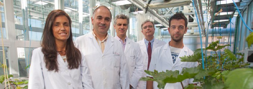 Investigadores de la Universidad de Navarra desarrollan una tecnología para fabricar nuevos fertilizantes a partir de residuos orgánicos