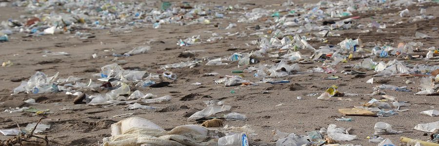 Nuevo informe de DKV Seguros y ECODES sobre la contaminación por plásticos