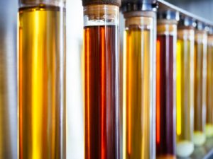 Proyecto para la producción de biocombustible a partir de CO2