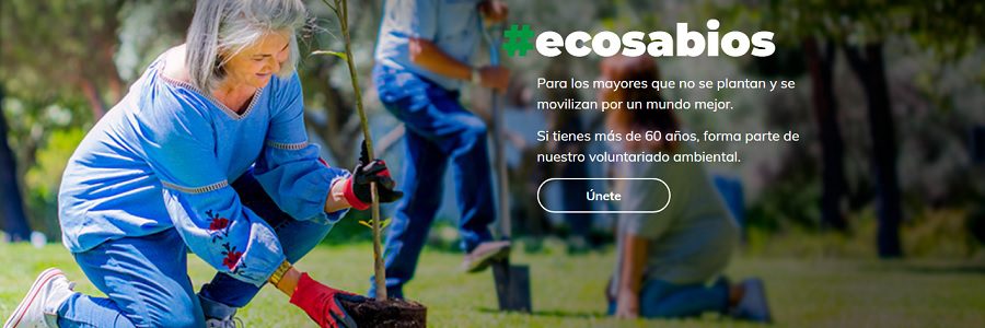 Ecovidrio renueva su web corporativa