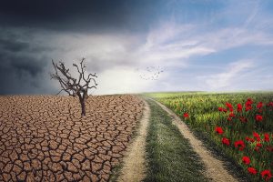El pacto verde europeo para una UE climáticamente neutral