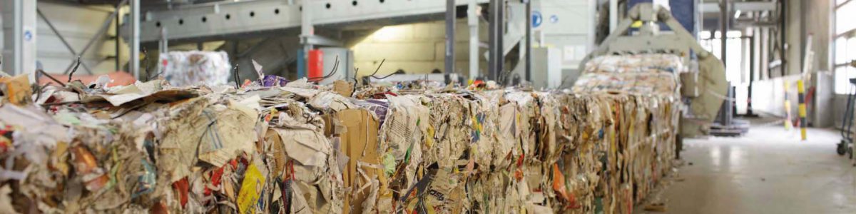 Nueva guía para mejorar la reciclabilidad de los embalajes de papel y cartón