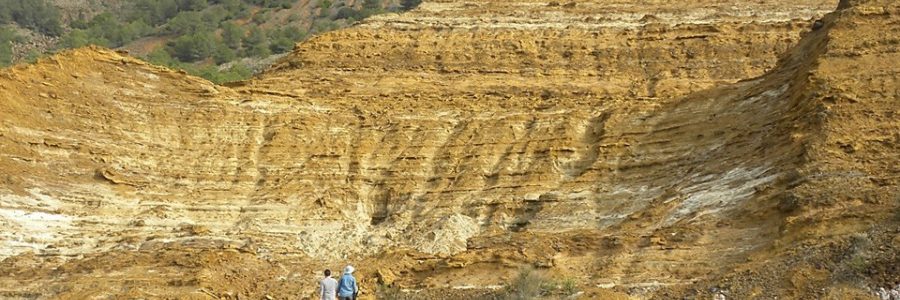 Investigadores de la UPCT crean ‘tecnosuelos’ para recuperar suelos mineros inmovilizando metales pesados y reduciendo su toxicidad