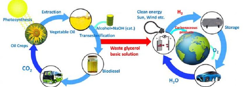 Desarrollan un sistema más eficiente para valorizar el glicerol, subproducto de la industria del biodiésel