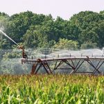 Nuevas reglas para promover la reutilización de aguas residuales en la agricultura