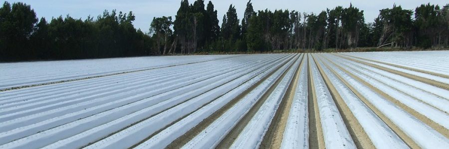 Un nuevo ‘punto verde’ para la gestión de residuos plásticos agrícolas